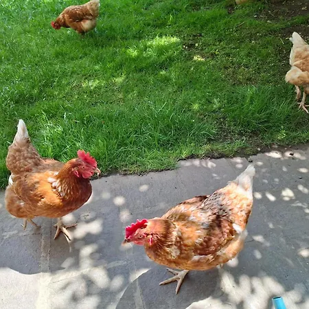 Appartamento Katharina