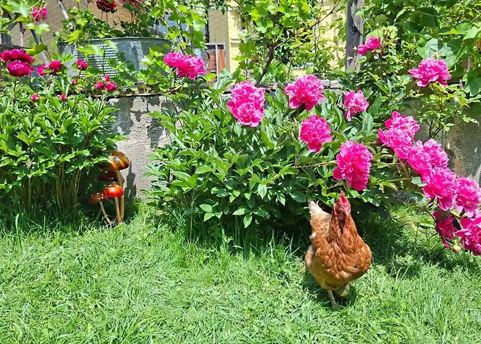 アパート Katharina シュタイナハ・アム・ブレンナー