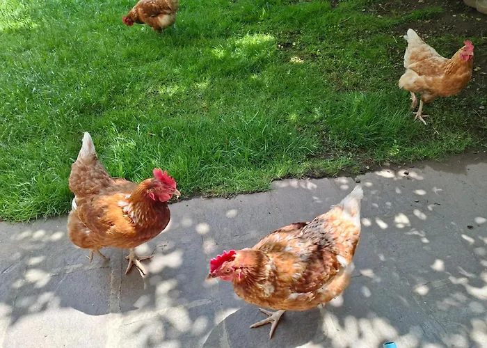 アパート Katharina